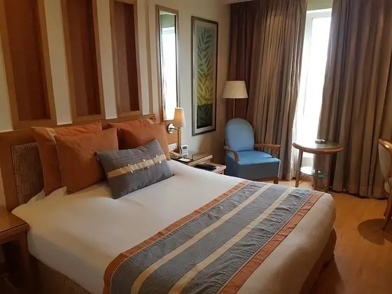 Oda, 1 Çift Kişilik Yatak, Şehir Manzaralı