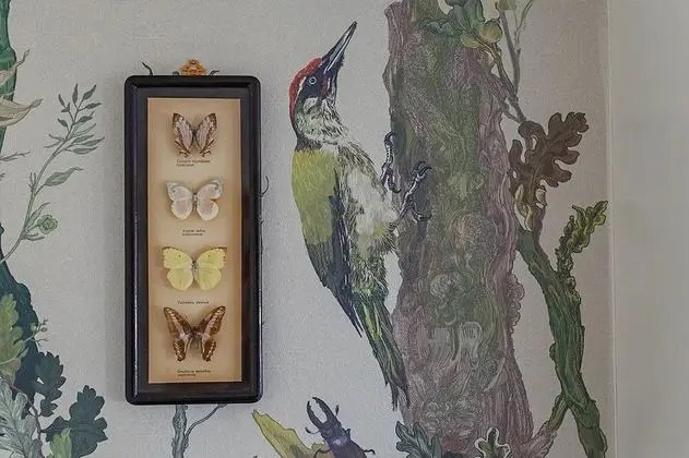 Tek Büyük Yataklı Oda (Natural History)