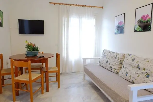 Apart Daire, 1 Yatak Odası