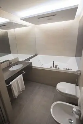 Superior Tek Büyük Yataklı Oda, 1 En Büyük (King) Boy Yatak (Direct access)