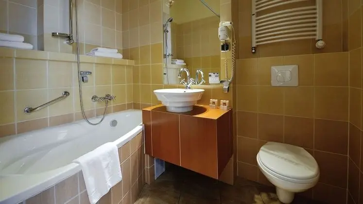 Executive Tek Büyük Yataklı Oda