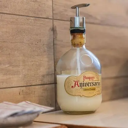 Premium Apart Daire, 1 Yatak Odası, Göl Manzaralı (2)