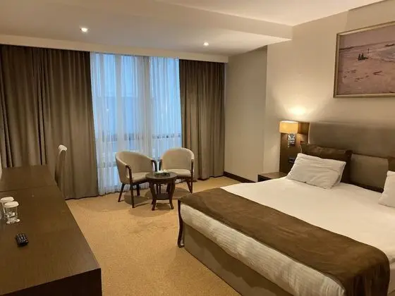 Standard Tek Büyük Yataklı Oda, 1 En Büyük (King) Boy Yatak, Şehir Manzaralı