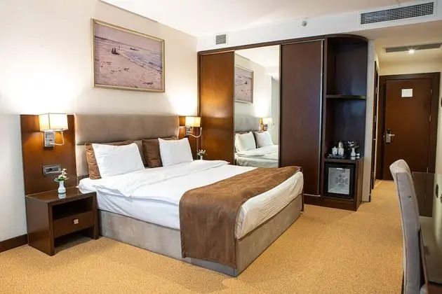 Standard Tek Büyük Yataklı Oda, 1 En Büyük (King) Boy Yatak, Şehir Manzaralı