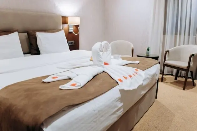 Standard Tek Büyük Yataklı Oda, 1 En Büyük (King) Boy Yatak, Şehir Manzaralı
