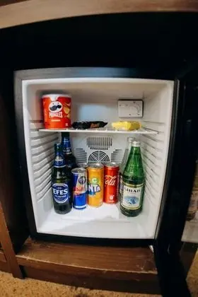 Standard Tek Büyük Yataklı Oda, 1 En Büyük (King) Boy Yatak, Şehir Manzaralı