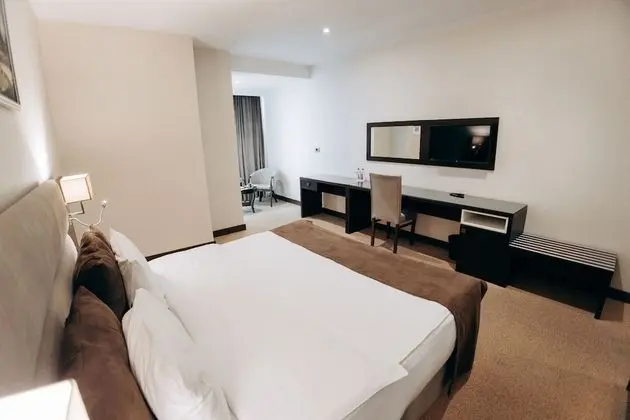 Standard Tek Büyük Yataklı Oda, 1 En Büyük (King) Boy Yatak, Şehir Manzaralı