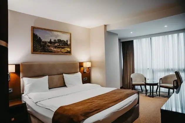 Standard Tek Büyük Yataklı Oda, 1 En Büyük (King) Boy Yatak, Şehir Manzaralı