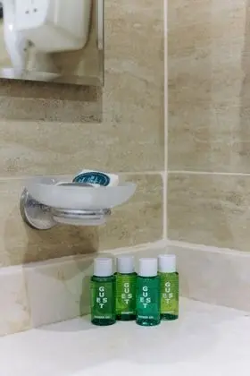 Standard Tek Büyük Yataklı Oda, 1 En Büyük (King) Boy Yatak, Şehir Manzaralı