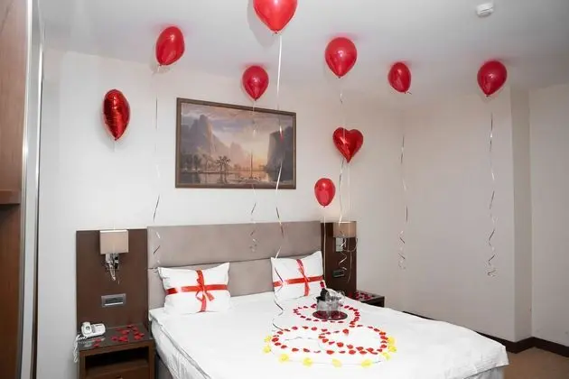 Standard Tek Büyük Yataklı Oda, 1 En Büyük (King) Boy Yatak, Şehir Manzaralı