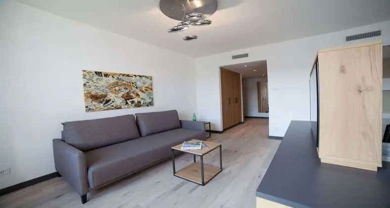 Stüdyo Süit, 1 Çift Kişilik Yatak ve Çekyat, Küvet (with Sofabed)