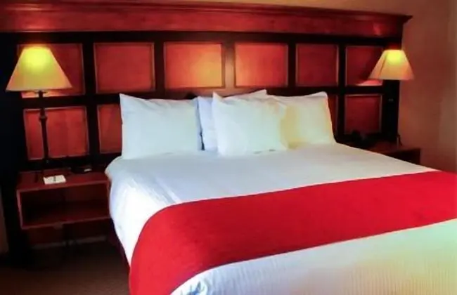 Deluxe Oda, 1 En Büyük (King) Boy Yatak, Mikrodalga, Dağ Manzaralı