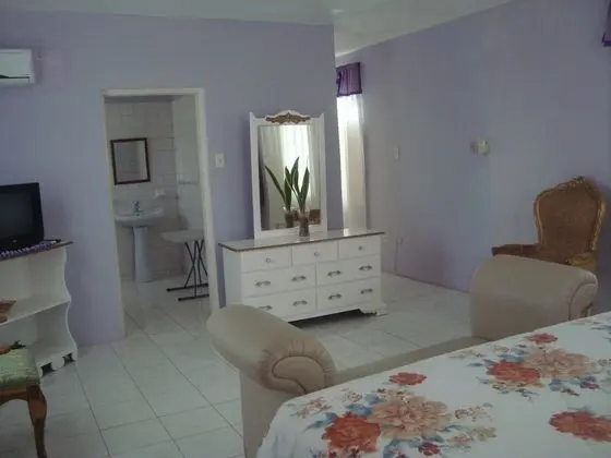 Comfort Süit, 1 Büyük (Queen) Boy Yatak, Özel Banyo