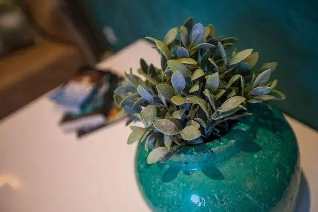 Premium Tek Büyük Yataklı Oda, Veranda (EMERALD)