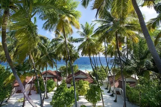 Beach Bungalow
