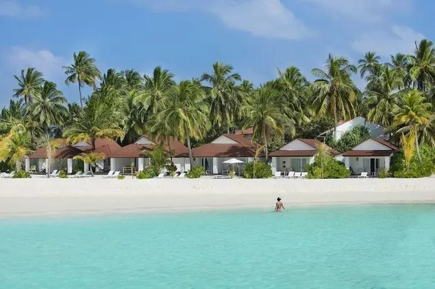 Beach Junior Suite