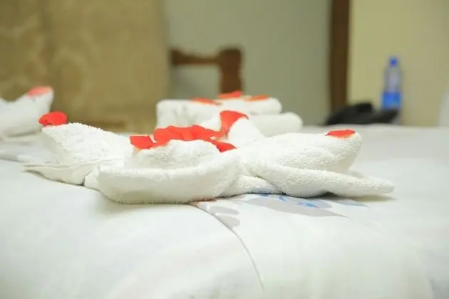 Deluxe İki Ayrı Yataklı Oda