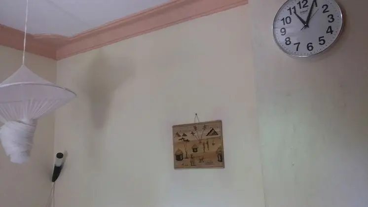 Deluxe Tek Kişilik Oda