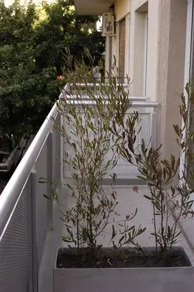Çatı Katı (Loft)
