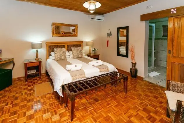 Standard Oda (Clivia)