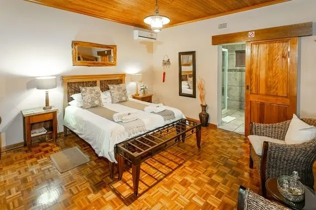 Standard Oda (Clivia)