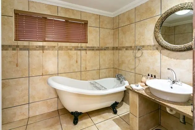 Standard Oda (Clivia)