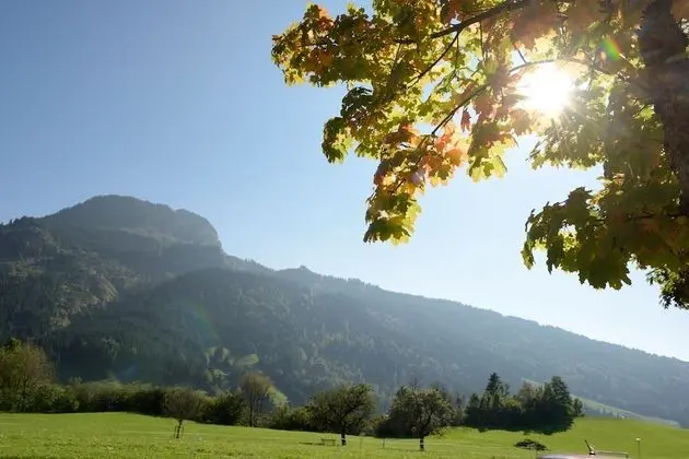 Comfort Apart Daire, Balkon