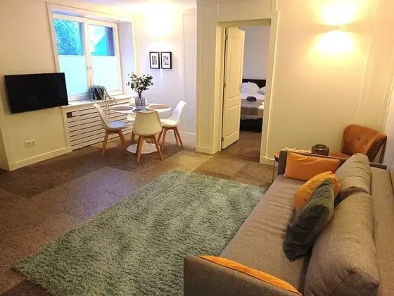 Deluxe Apart Daire, 1 Yatak Odası, Şehir Manzaralı