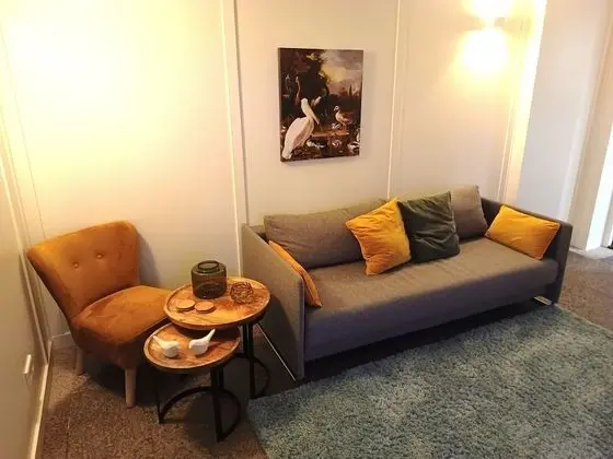 Deluxe Apart Daire, 1 Yatak Odası, Şehir Manzaralı