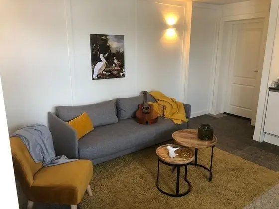 Deluxe Apart Daire, 1 Yatak Odası, Şehir Manzaralı