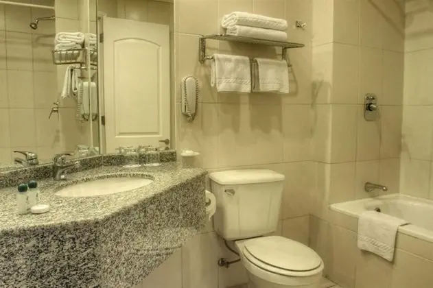 Tek Büyük Yataklı Oda, 1 Çift Kişilik Yatak