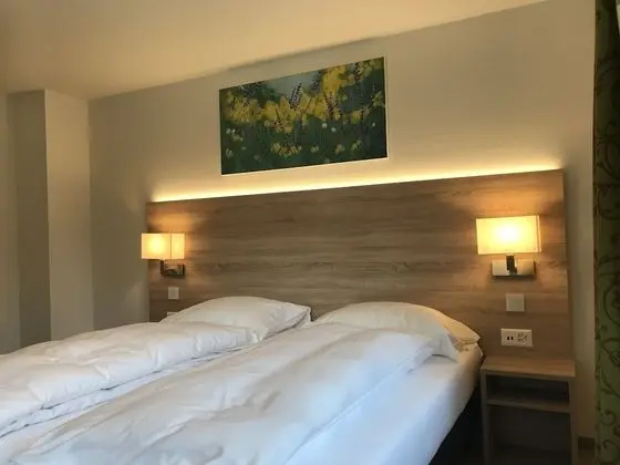 Standard Tek Büyük Yataklı Oda, Dağ Manzaralı (cleaning fees included)
