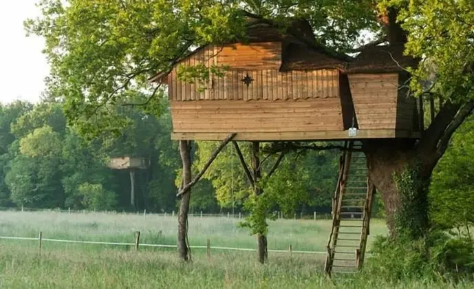 Ağaç Ev (5/6 metres)