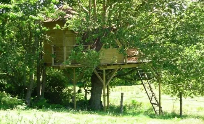 Ağaç Ev (5/6 metres)