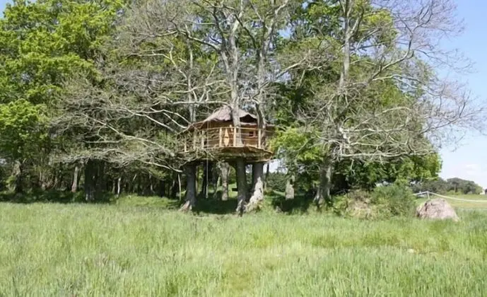 Ağaç Ev (5/6 metres)