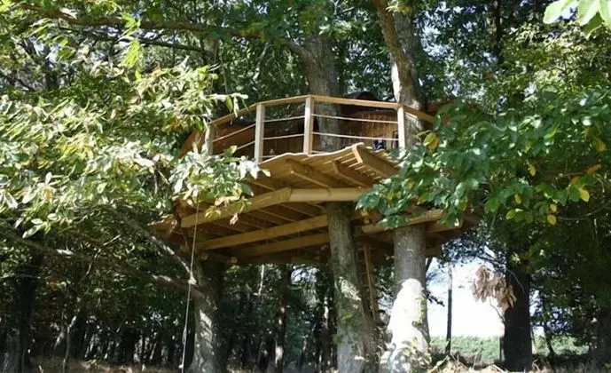 Ağaç Ev (5/6 metres)