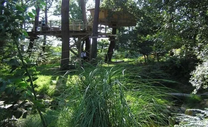 Ağaç Ev (5/6 metres)