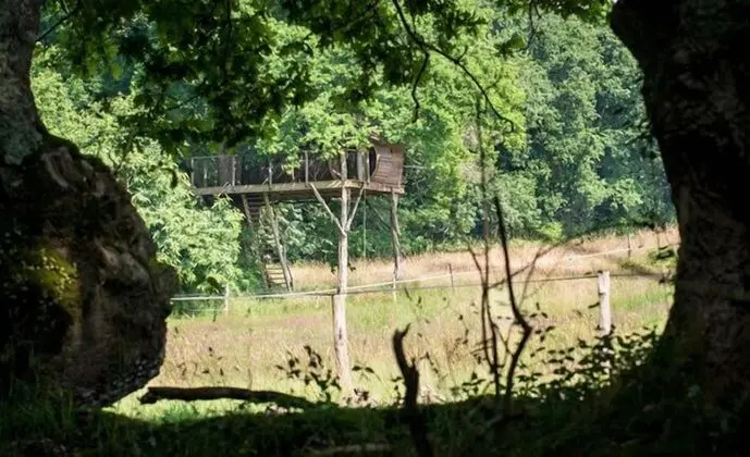 Ağaç Ev (5/6 metres)