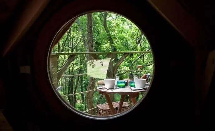 Ağaç Ev (5/6 metres)