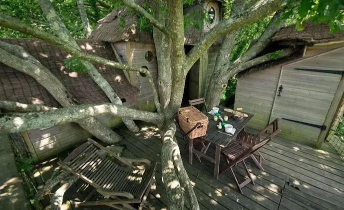 Ağaç Ev (5/6 metres)