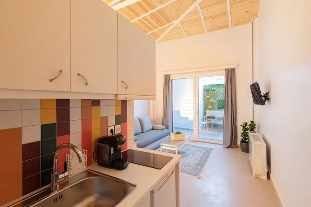Senior Loft Suite with terrace