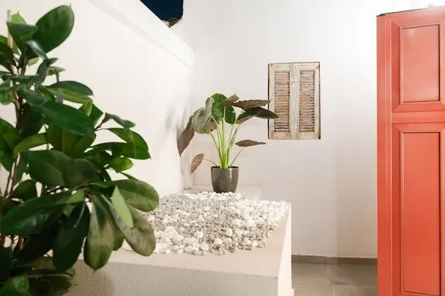 Senior Loft Suite with terrace