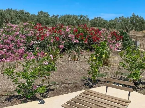 Comfort Tek Büyük Yataklı Oda, 1 En Büyük (King) Boy Yatak, Veranda, Bahçe Manzaralı