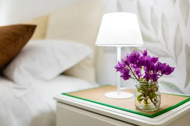 Standard Tek Büyük Yataklı Oda, Avlu Manzaralı