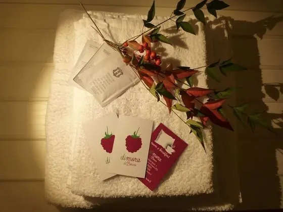 Dört Kişilik Oda, Bahçe Manzaralı