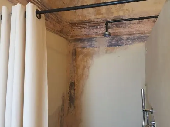 Superior Tek Büyük veya İki Ayrı Yataklı Oda, Balkon