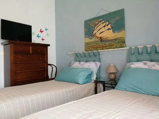Deluxe İki Ayrı Yataklı Oda, Özel Banyo, Şehir Manzaralı