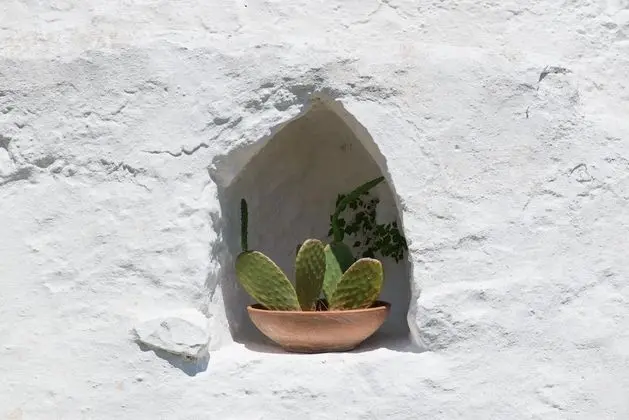 Ev