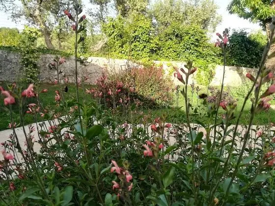 Apart Daire, Bahçeli (Melograno)