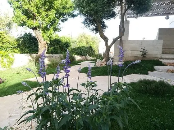 Apart Daire, Bahçeli (Melograno)